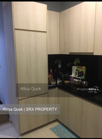 The Promenade@Pelikat (D19), Apartment #176508672